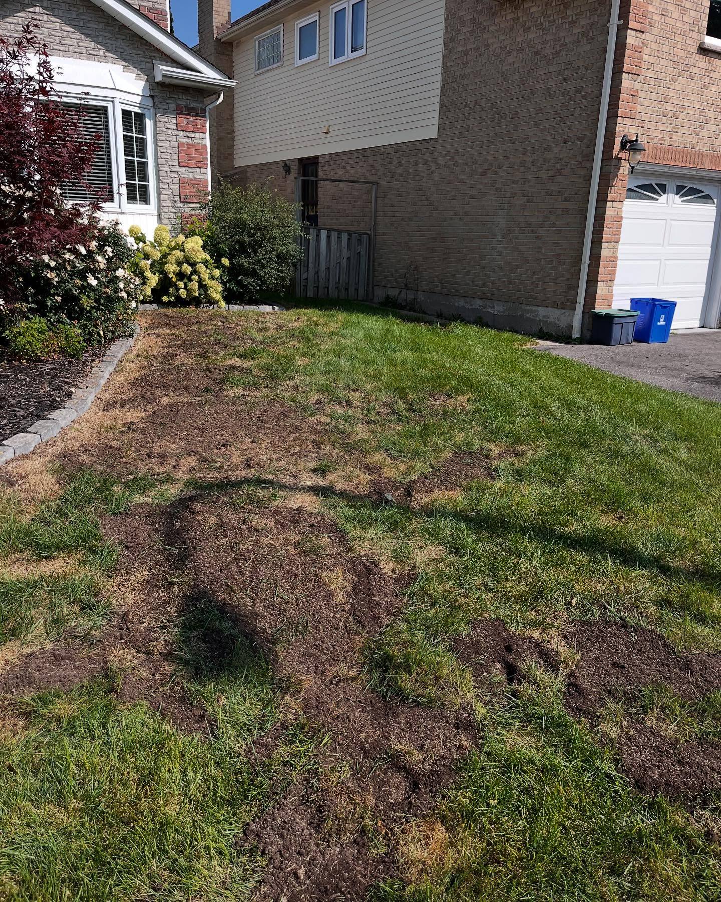 In the fall of last year, a client contacted us seeking assistance in restoring their lawn.
