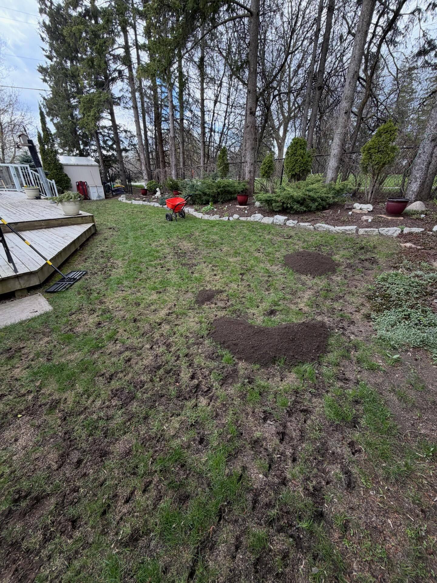 We were busy with aeration, overseeding, and top-dressing jobs in Port Perry and Courtice this week.