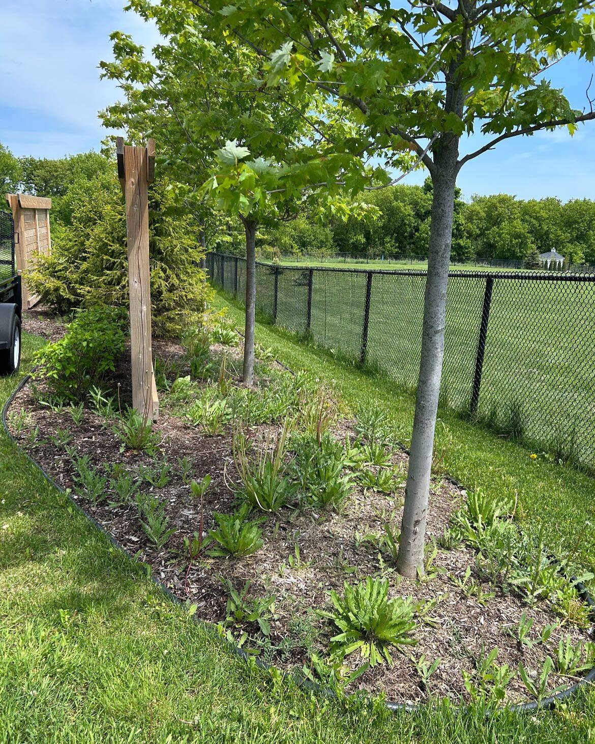Completed a full garden bed refresh today with 8 yards of premium brown mulch.