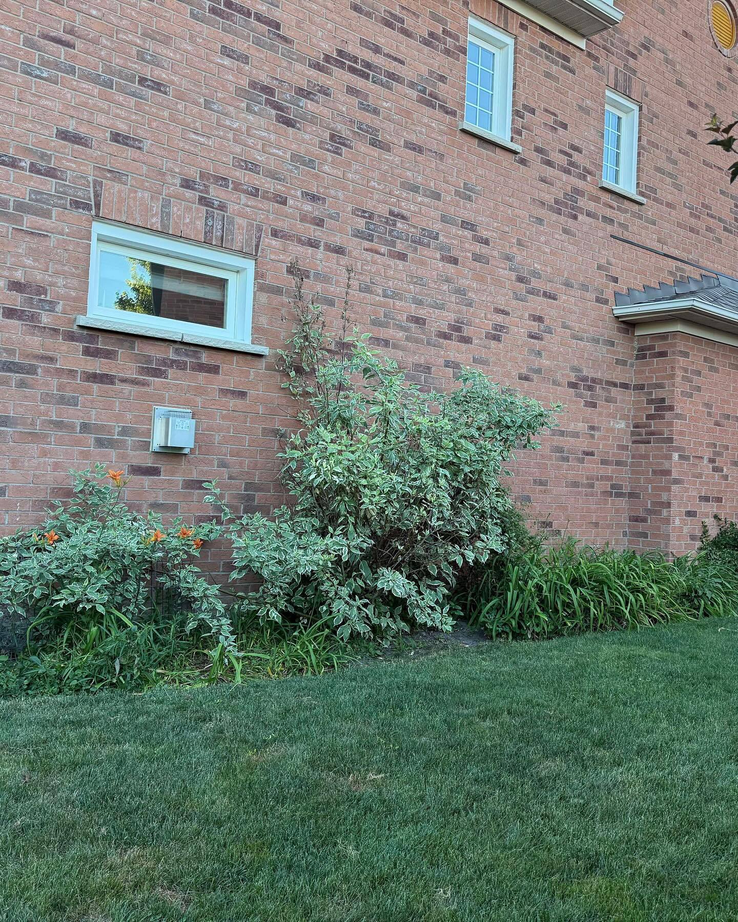 A recent garden transformation!
