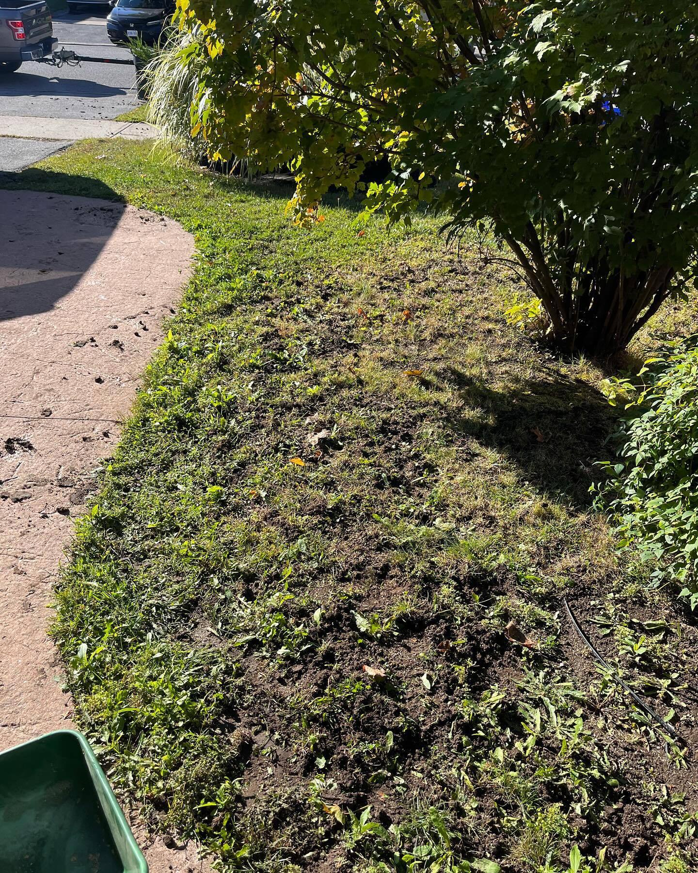 Aeration, overseeding, and top dressing jobs from this week across Durham Region Message us today to lock in your spot…