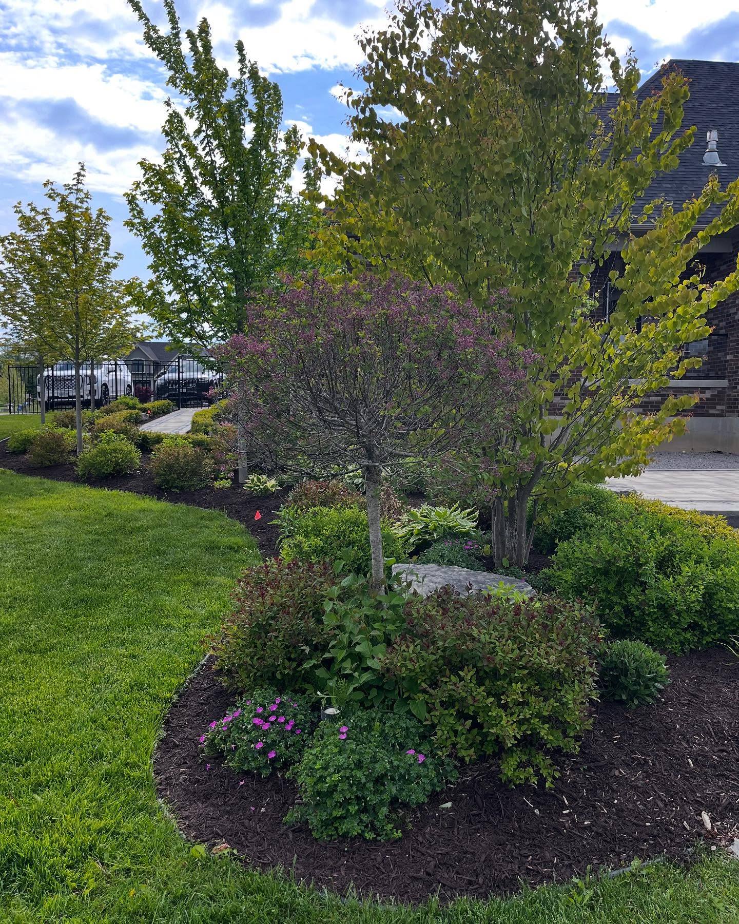 Completed a full garden bed refresh today with 8 yards of premium brown mulch.