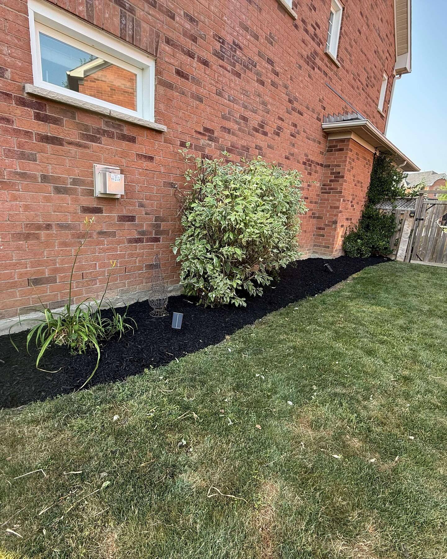 A recent garden transformation!