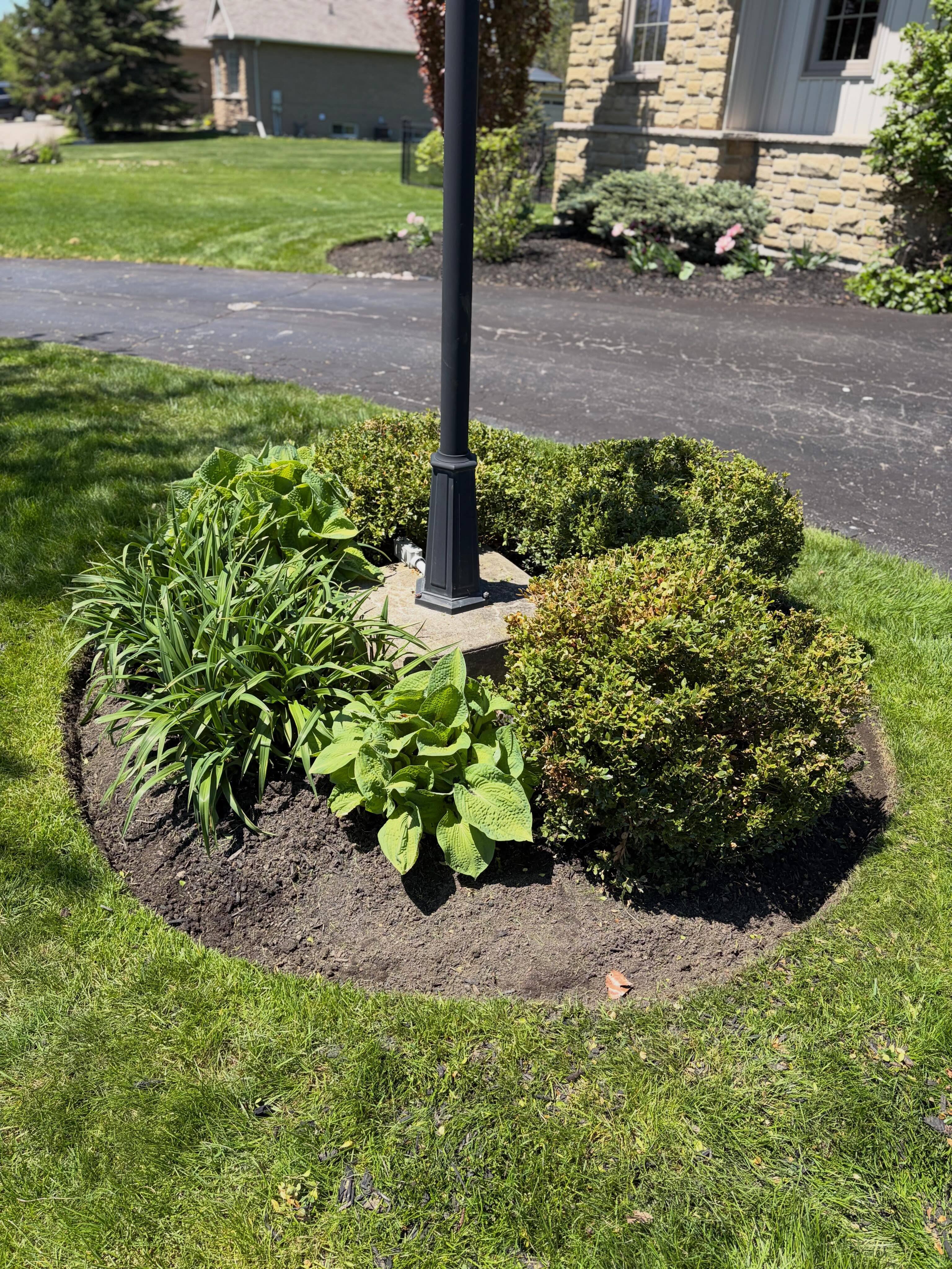 Two towns, two transformations, one busy day and a great team We started the morning prepping these garden beds in Port…
