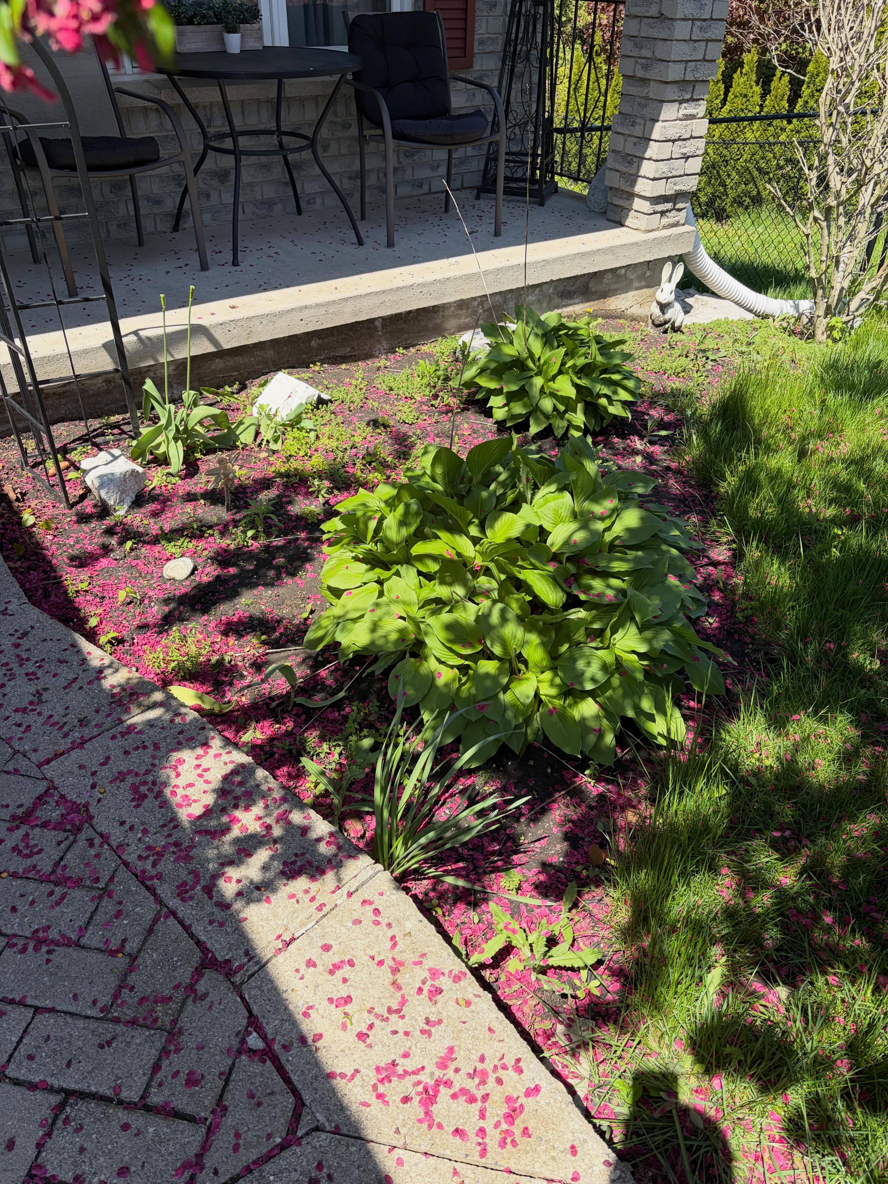 Two towns, two transformations, one busy day and a great team We started the morning prepping these garden beds in Port…