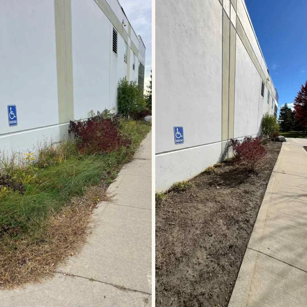 Commercial lawn and garden maintenance in Port Perry, Durham Region