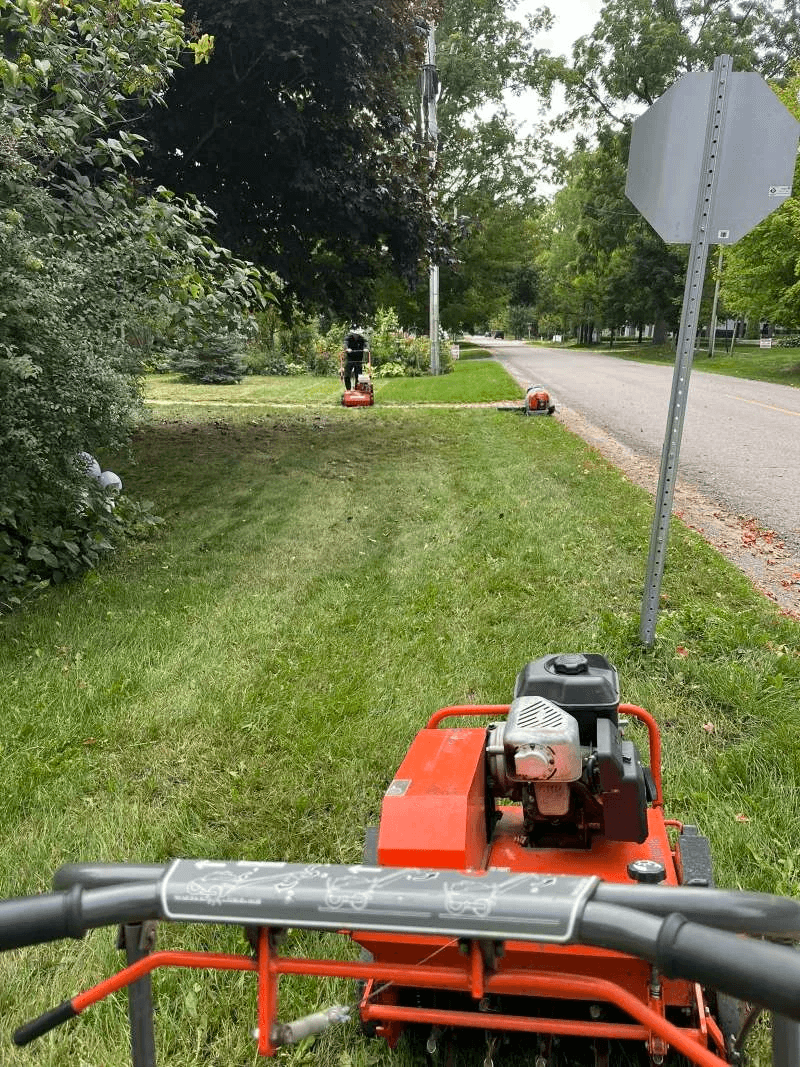 Aeration and dethatching in Oshawa