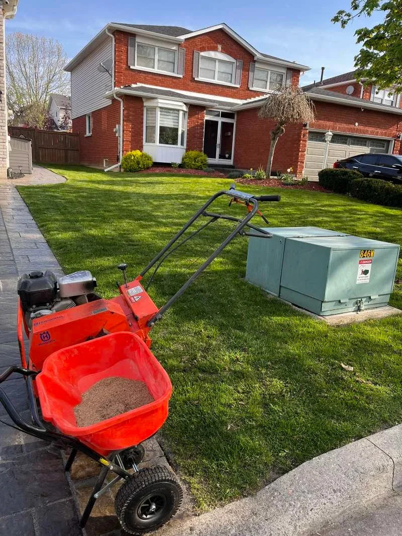 Spring lawn aeration and overseeding for a brick suburban home in Courtice