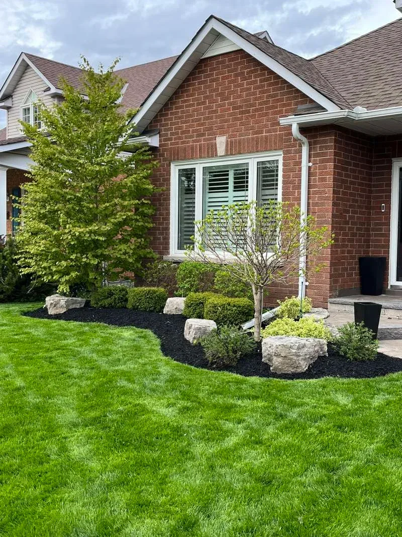 Garden bed de-weeding and black mulch installation in Whitby