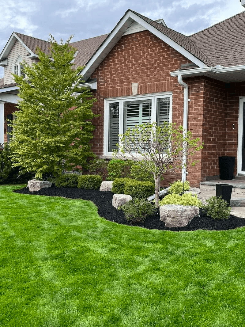 Garden bed de-weeding and black mulch installation in Whitby