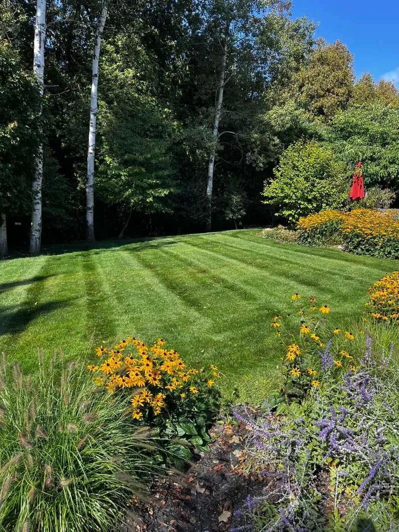 Healthy, freshly cut residential lawn in Bowmanville
