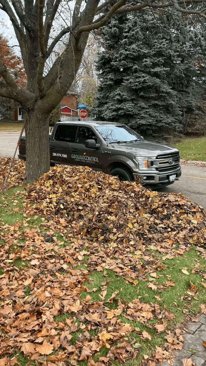 Fall leaf clean-up for an estate property in Courtice