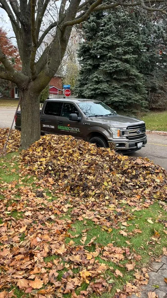 Fall leaf clean-up for an estate property in Courtice