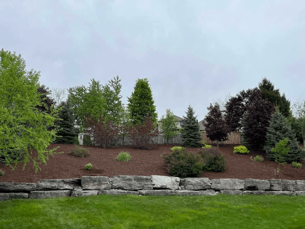 Full property cleanup and mulch installation for a residential yard in Oshawa