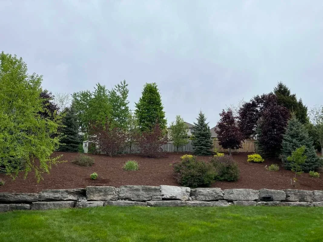 Full property cleanup and mulch installation for a residential yard in Oshawa