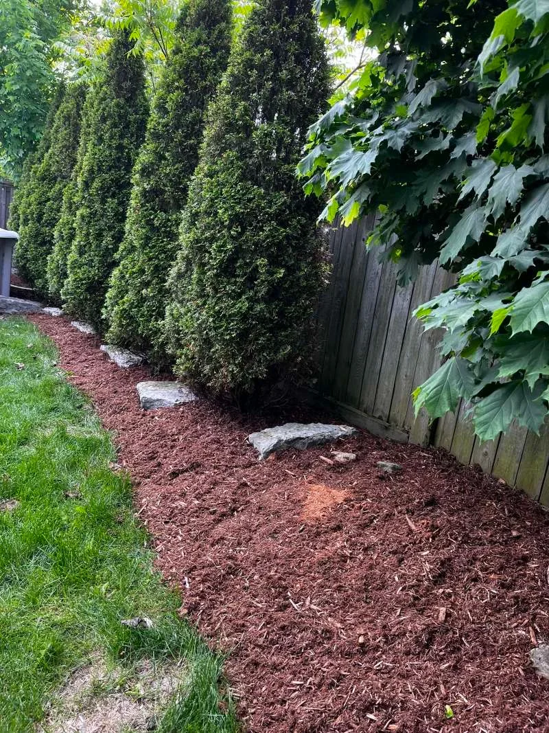 Professional de-weeding and fresh mulch installation in Oshawa