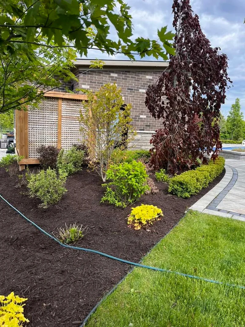 Thorough garden bed de-weeding and cleanup for an estate yard in Courtice