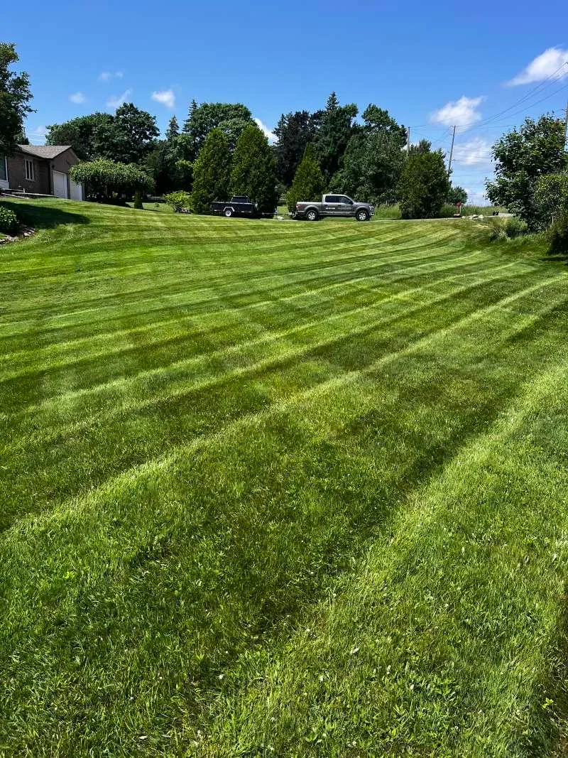Whitby weekly lawn care with pristine, freshly striped grass