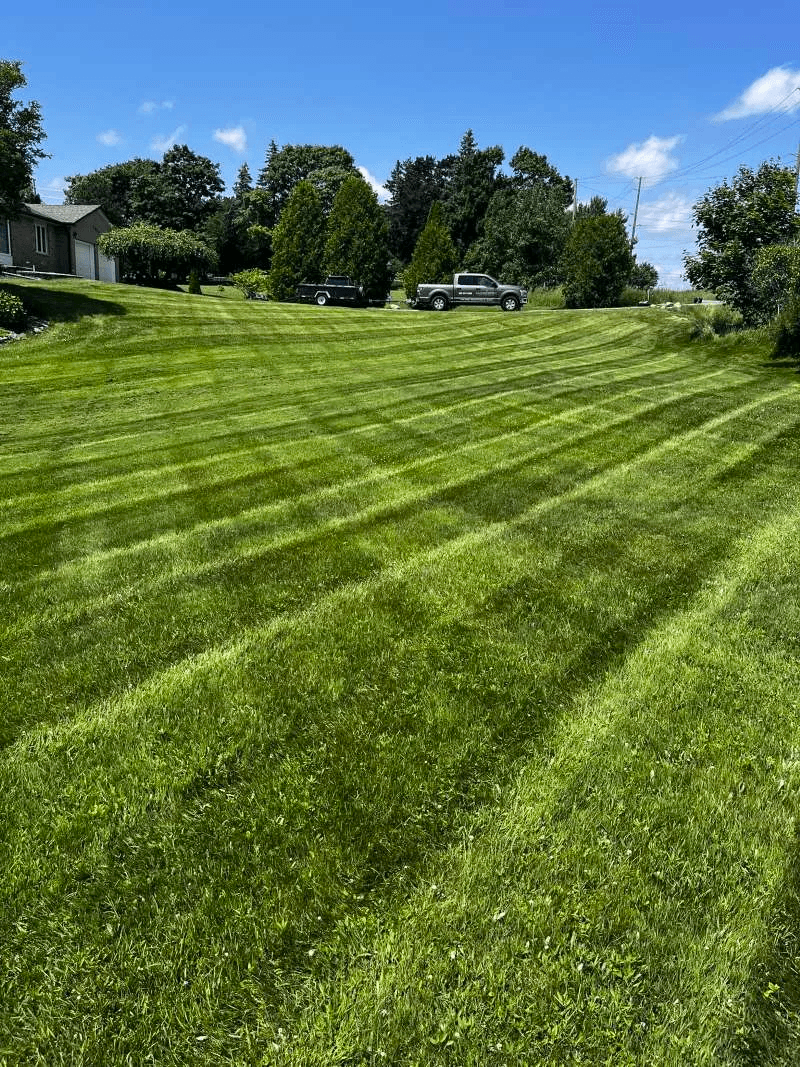Whitby weekly lawn care with pristine, freshly striped grass