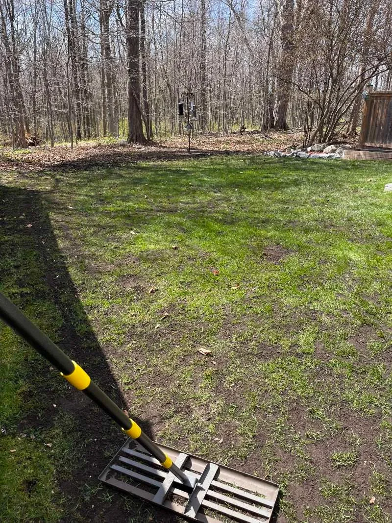 Lawn leveling in Whitby targeting low and bare spots