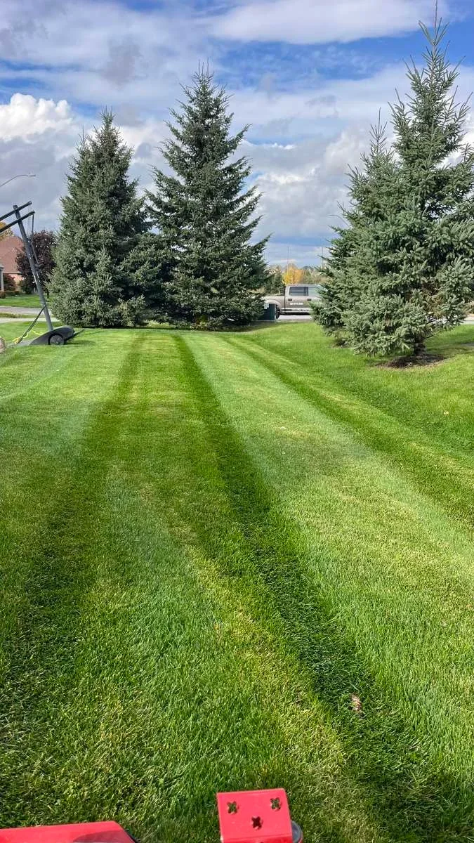 Full-service lawn maintenance and property cleanup in Oshawa