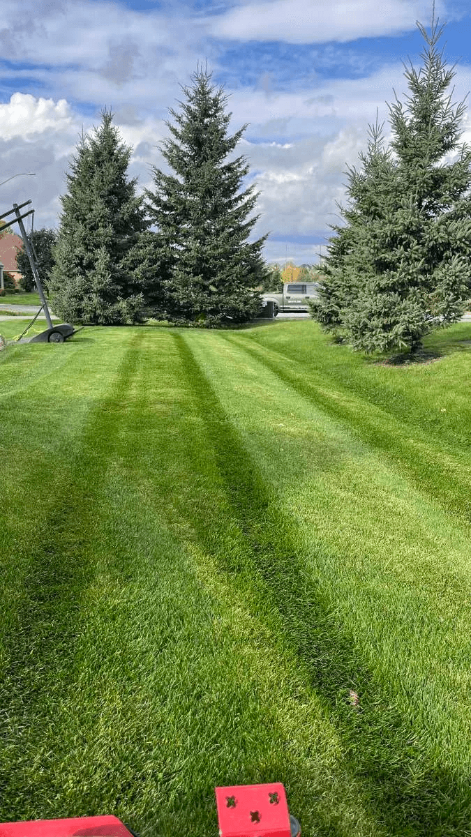 Full-service lawn maintenance and property cleanup in Oshawa