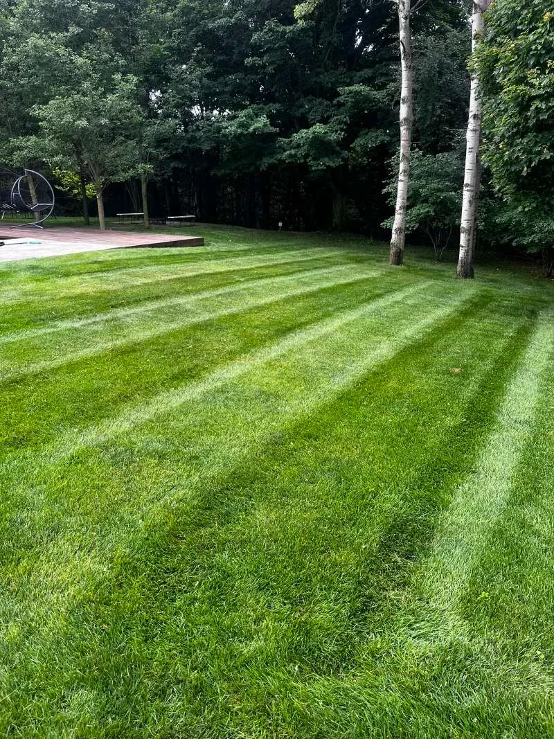 Professional grass cutting and precision edging service in Bowmanville