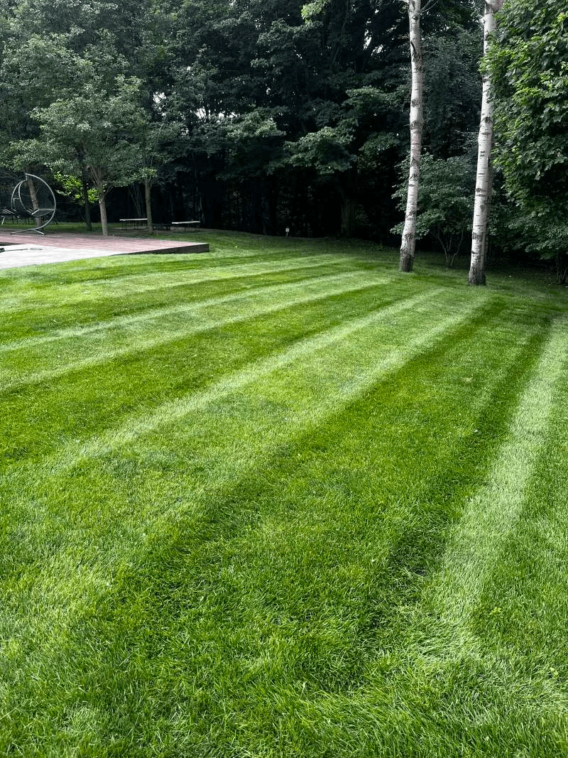 Professional grass cutting and precision edging service in Bowmanville