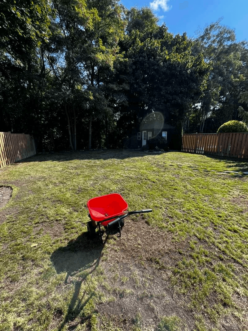 Combined lawn aeration, top dressing and overseeding in Hampton