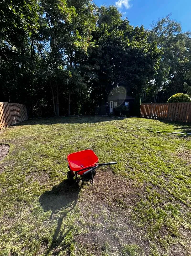Combined lawn aeration, top dressing and overseeding in Hampton