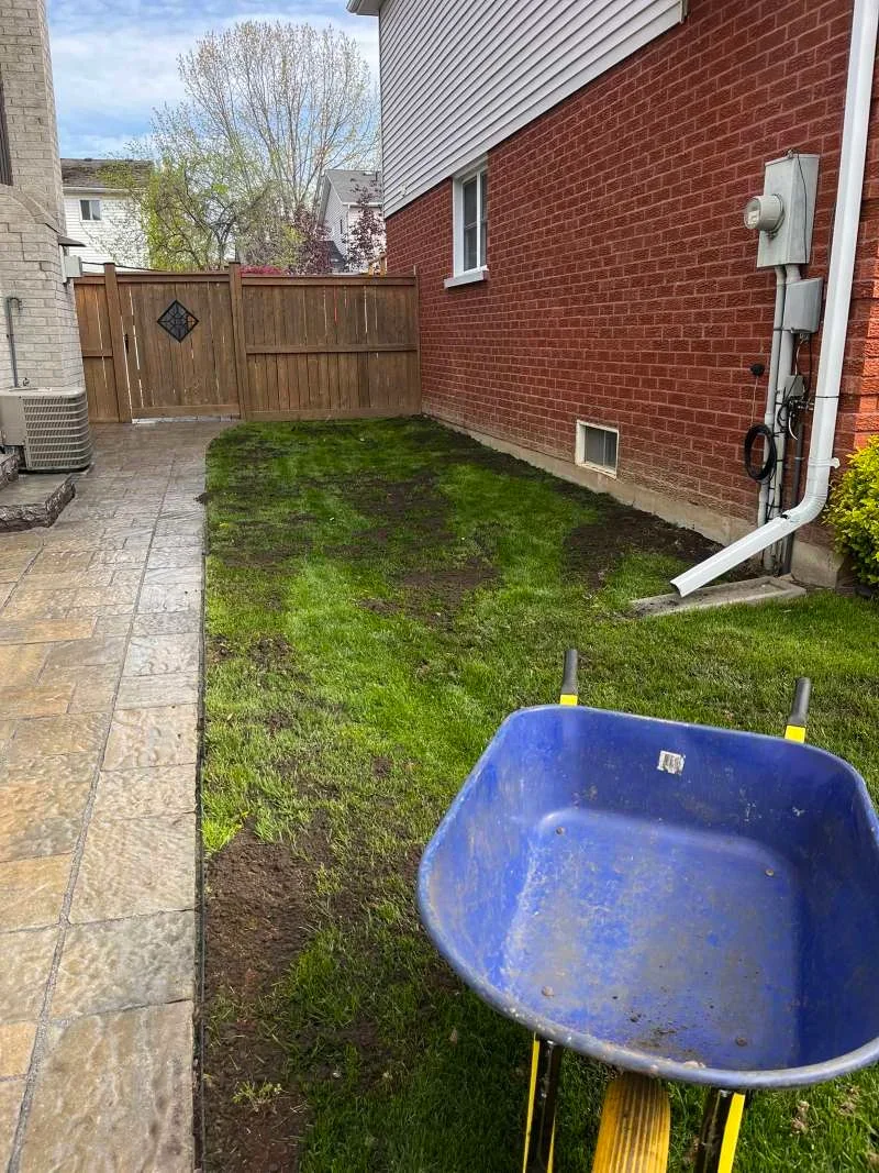 Applying high-quality organic top dressing to a residential lawn in Courtice