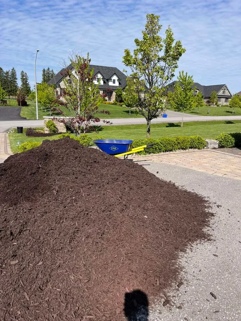 Fresh dark mulch installation for garden beds at a home in Enniskillen