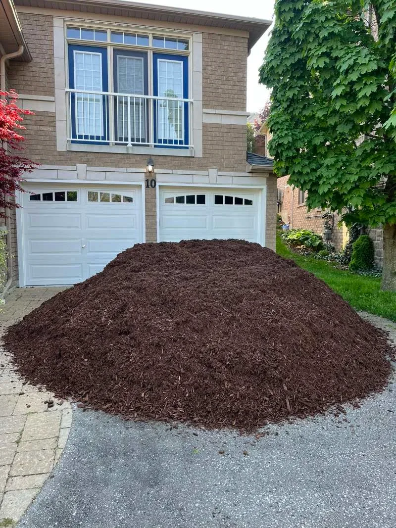 Premium mulch installation for a manicured front and backyard look in Whitby