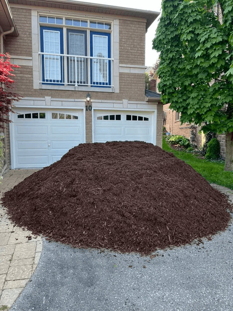 Premium mulch installation for a manicured front and backyard look in Whitby