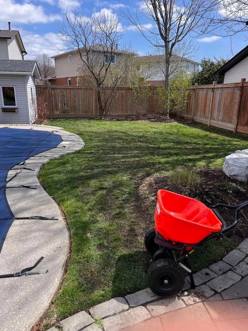Combined lawn aeration, top dressing and overseeding in Whitby