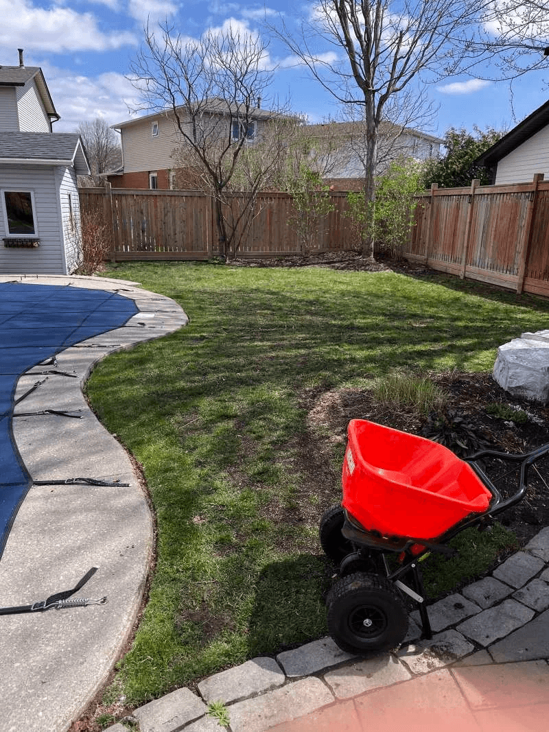 Combined lawn aeration, top dressing and overseeding in Whitby