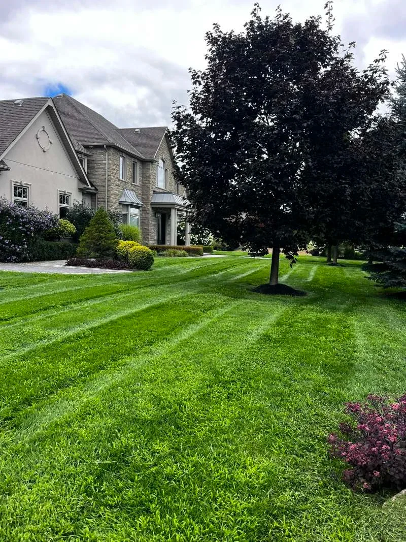 Residential lawn maintenance and cleanup service in Port Perry