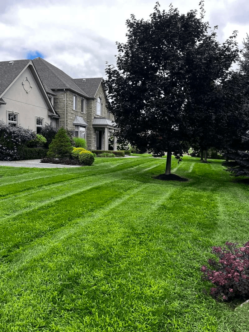 Residential lawn maintenance and cleanup service in Port Perry