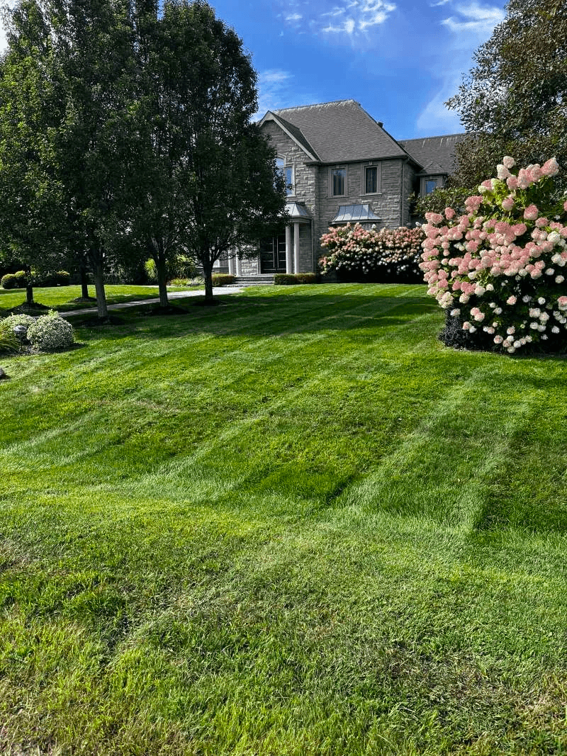 Neatly mowed residential lawn with precision edging in Bowmanville