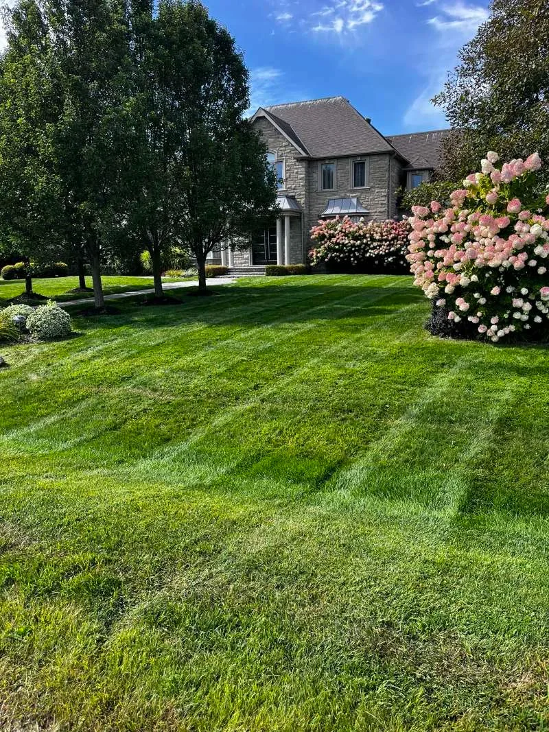 Neatly mowed residential lawn with precision edging in Bowmanville