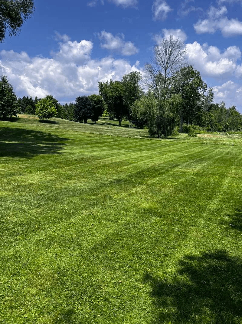 Seasonal lawn care — grass cutting and edging for a Bowmanville property