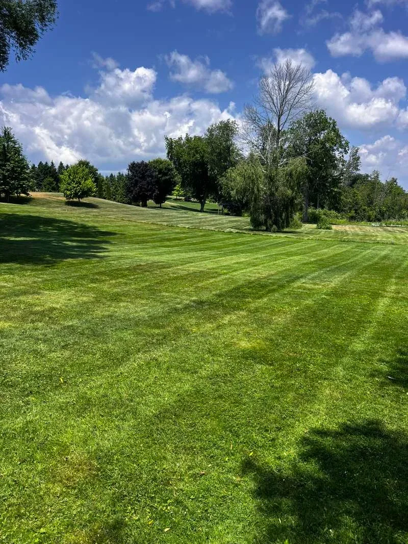 Seasonal lawn care — grass cutting and edging for a Bowmanville property
