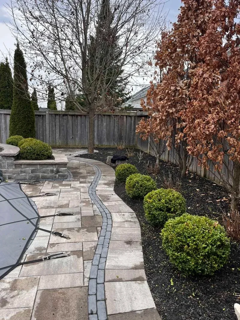 Professional shrub pruning and hedge trimming for a backyard walkway in Whitby