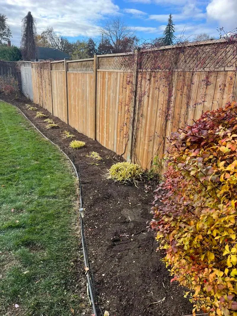 Spring and fall clean-up in Whitby — pruning plants to prepare for the new season