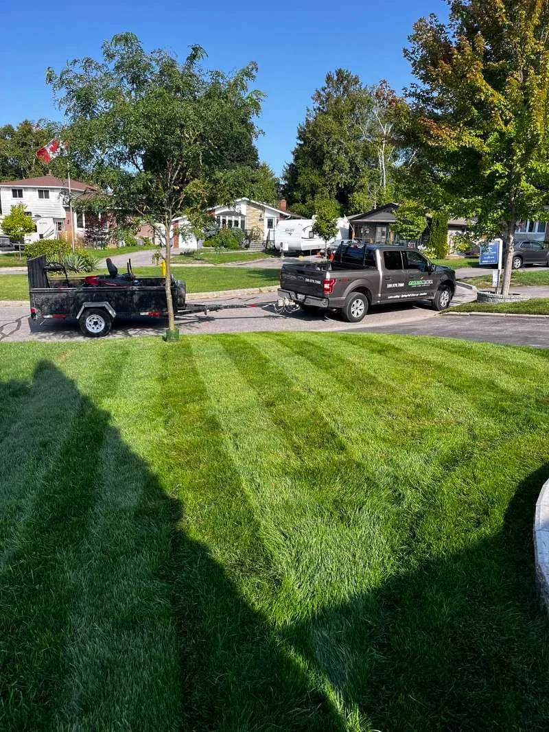 Professional weekly lawn maintenance and grass trimming in Whitby