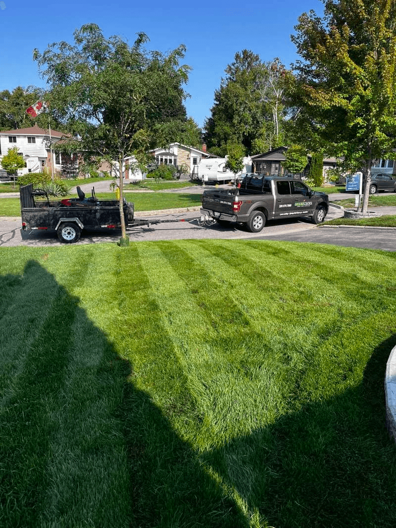 Professional weekly lawn maintenance and grass trimming in Whitby